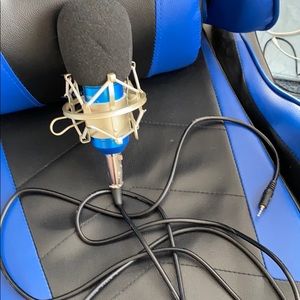 Floureon mic with chord
